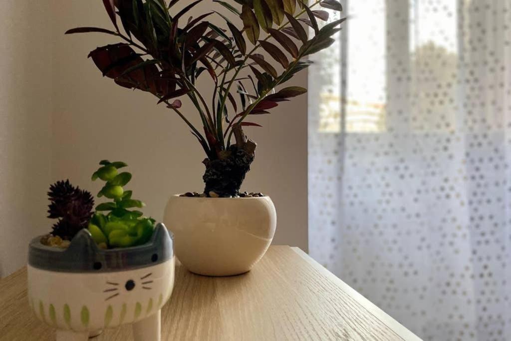 Central Modern Apartment Rome -Locazione Turistica- Extérieur photo
